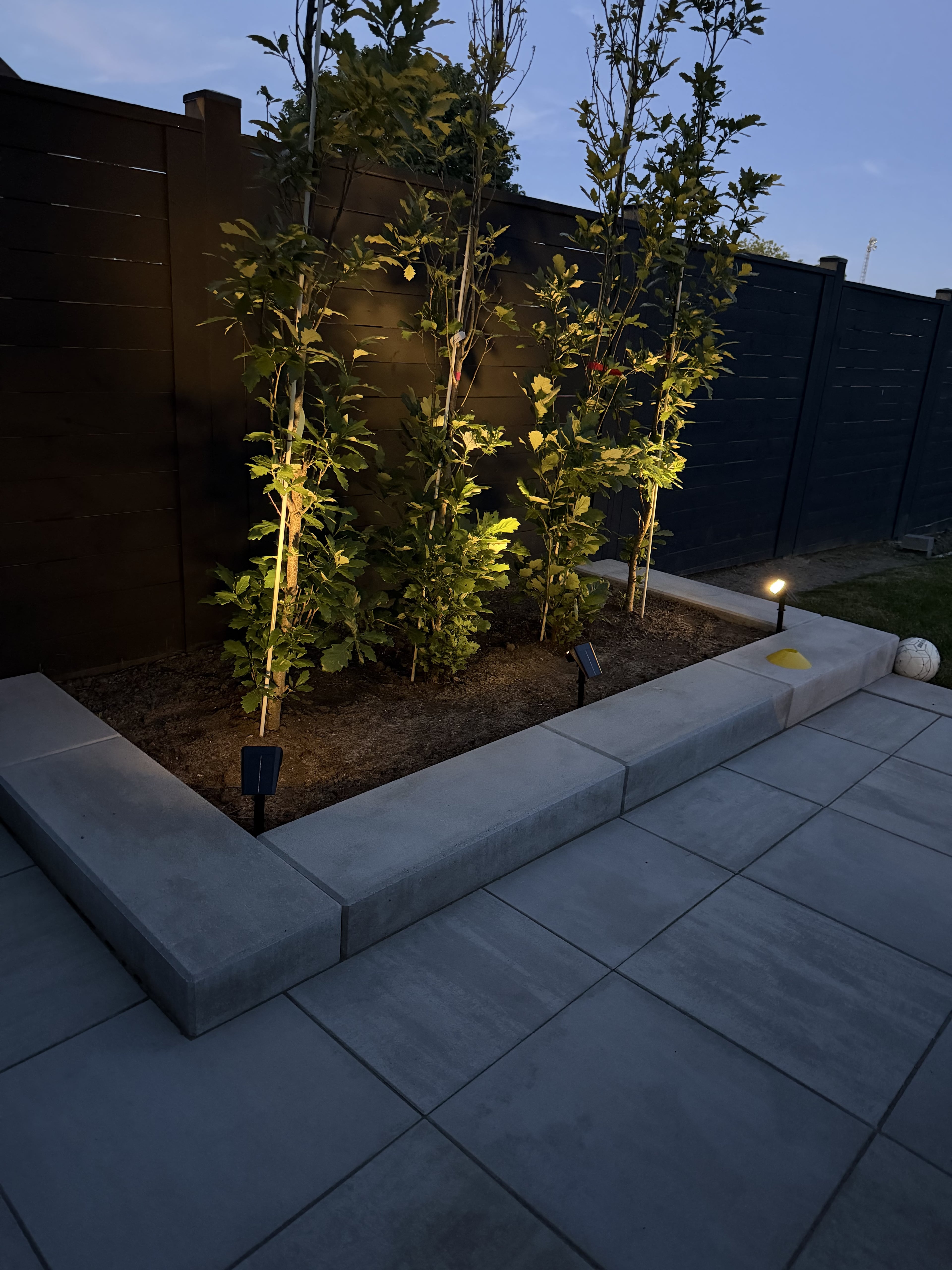 Guelph backyard landscape lighting illuminating trees in a raised stone garden bed at dusk by BCI Landscaping