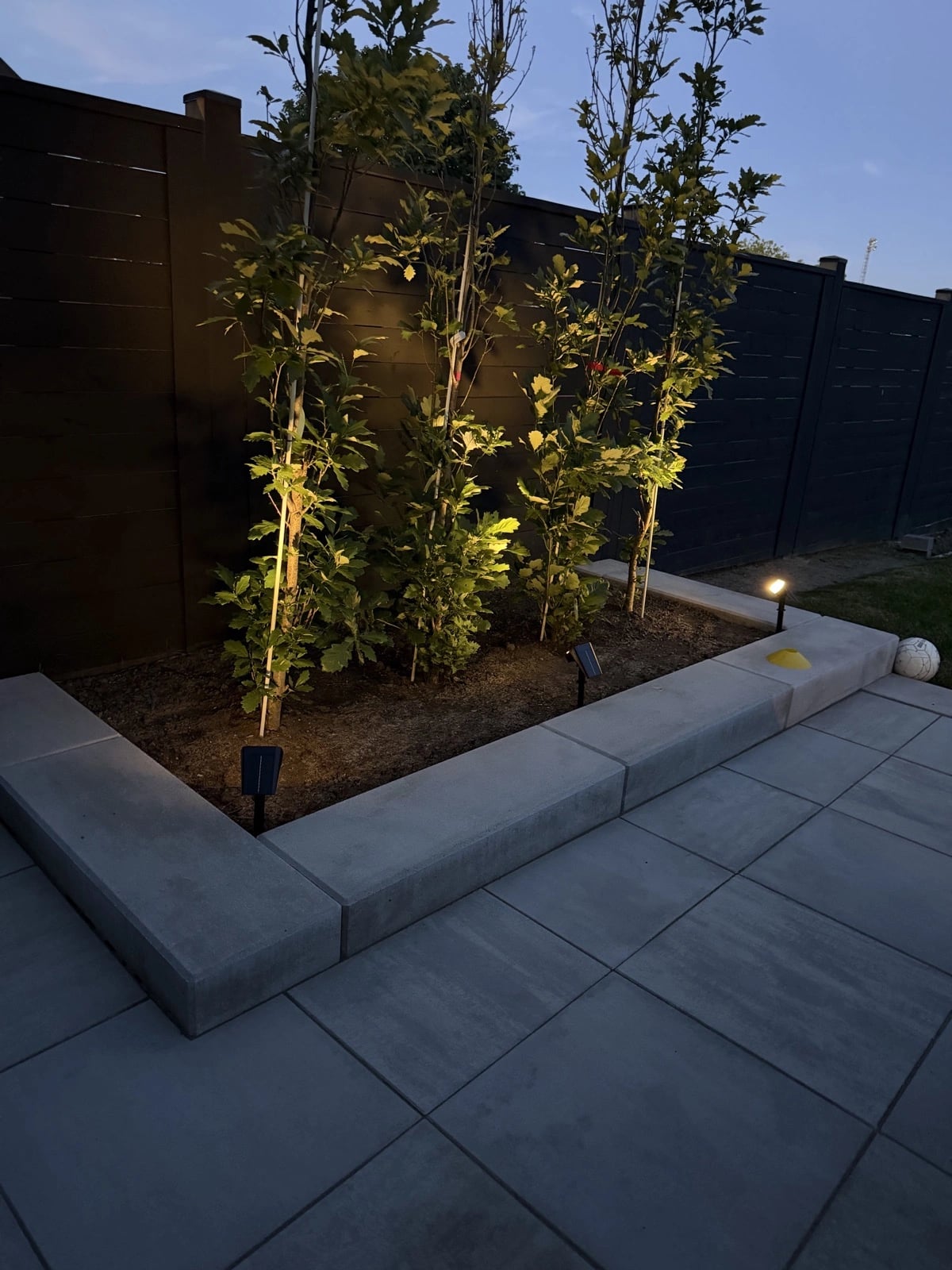 Low-voltage LED uplighting on garden bed trees at dusk with paver patio, landscape lighting Guelph by BCI Landscaping